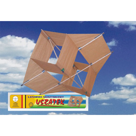 KITE EARS ( ART - MODEL )