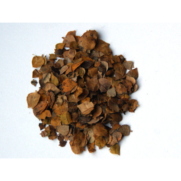 MM LEAVES - LINDEN LEAVES (721)