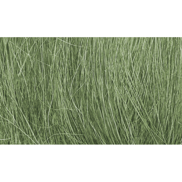 WOODLAND FG174 TRZCINA - medium green