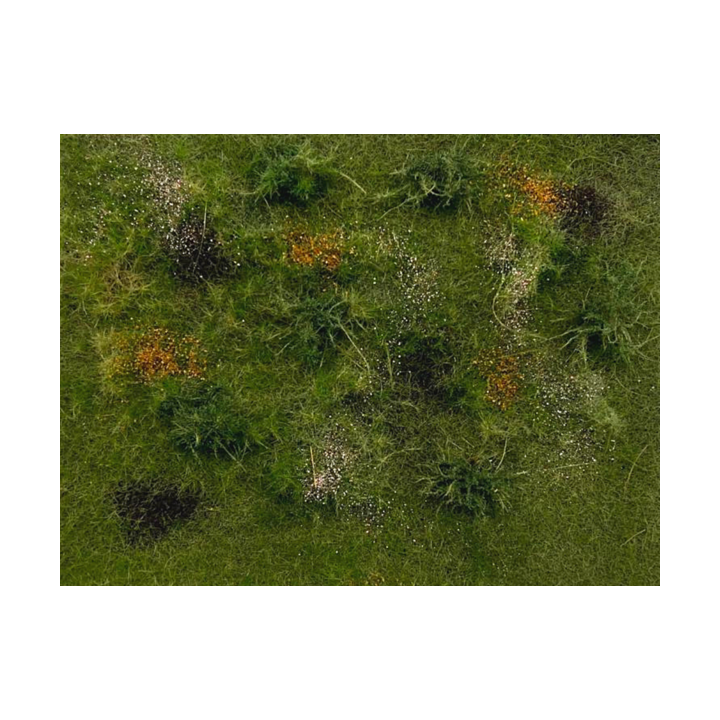 POLAK 9817 LEASNA TRAWA VARIANT G / 275 x 205 mm