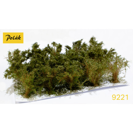 POLAK 9221 KRZEWY WYSOKIE zielona        sawanna ( 3 sztuki )
