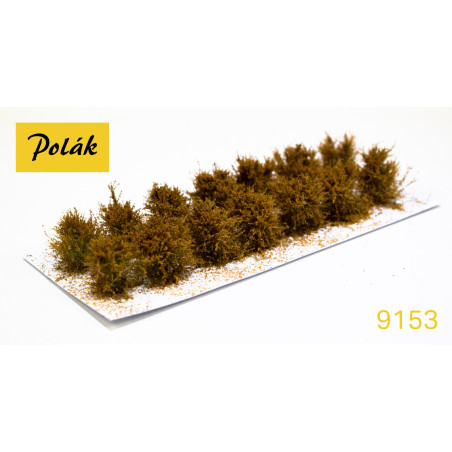 POLAK 9153 KRZEWY NISKIE kwitnąca ochra  ( 2 sztuki )