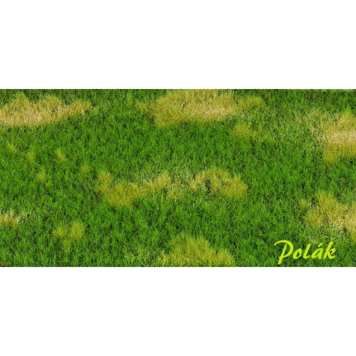 POLAK 4701 DZIKA ŁĄKA WARIANT A (195 x 245 mm)