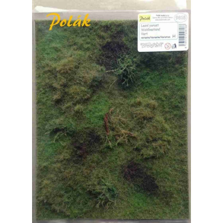POLAK 9818 LEŚNA TRAWA wariant H / 275   x 205 mm
