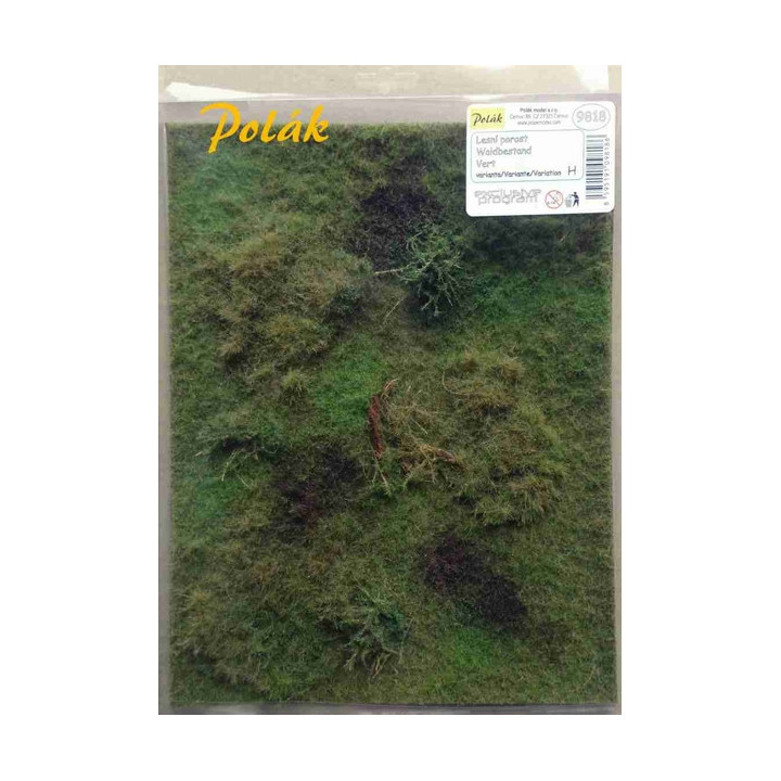 POLAK 9818 LEŚNA TRAWA wariant H / 275   x 205 mm