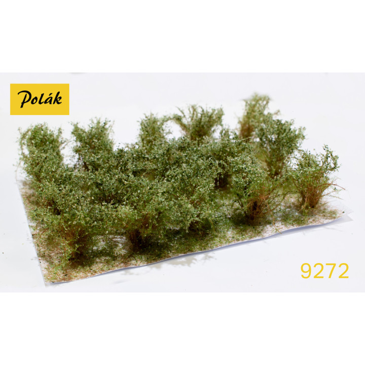 POLAK 9272 KRZEWY WYSOKIE zielona        wierzba ( 3 sztuki )