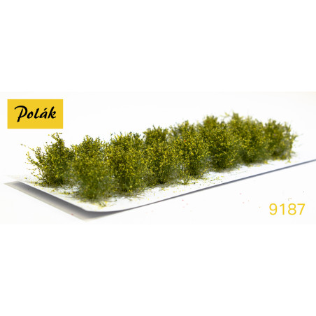 POLAK 9187 KRZEWY NISKIE kwitnące żółte  ( 2 sztuki )