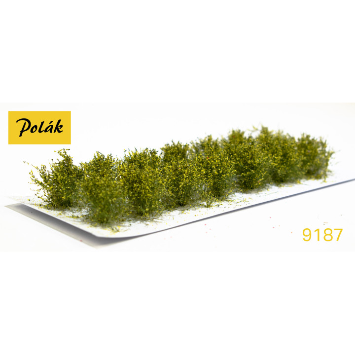 POLAK 9187 NÍZKOKVĚTÝ KROK žlutý ( 2 kusy )
