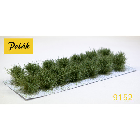 POLAK 9152 KRZEWY NISKIE zielona wierzba ( 2 sztuki )