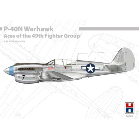 HOBBY 2000 1/48 P-40N WARHAWK ACE OF THE 49TH FIGHTER GROUP (48001)