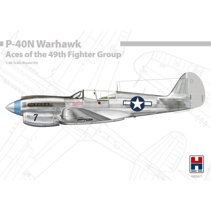 HOBBY 2000 1/48 P-40N WARHAWK ACE OF THE 49TH FIGHTER GROUP (48001)