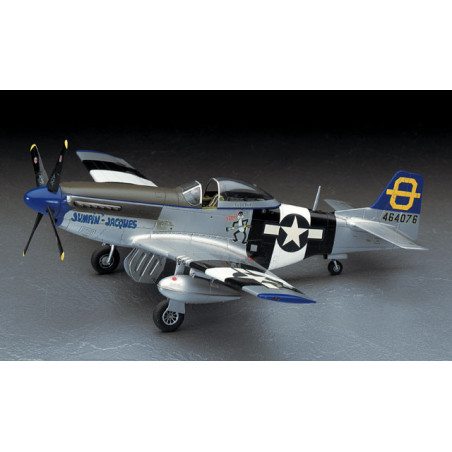HASEGAWA 1/48 P-51 MUSTANG (09130)
