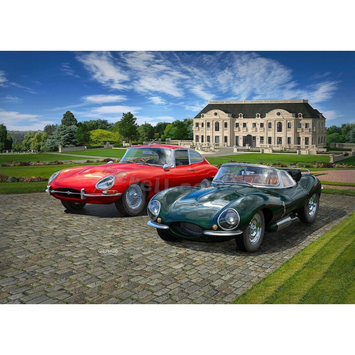 REVELL 1/24 JAGUAR 100th ANNIVERSARY &   E-TYPE ZESTAW (05667) SET