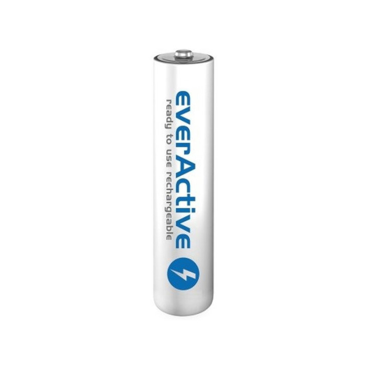 EVERACTIVE AA 1.2V/2600 mAh PROFESSIONAL BATTERY (1 piece)