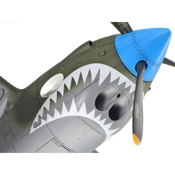 TAMIYA 1/48 LOCKHEED P-38 F/G LIGHTNING  (61120)