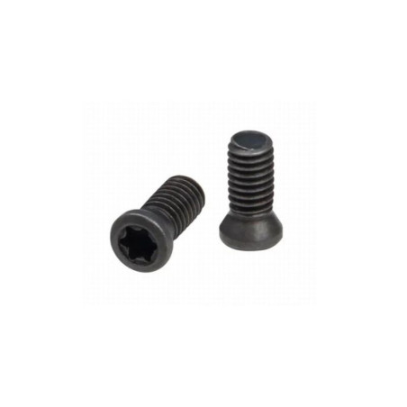 ARMANOV SCREWS for CZ and Tanfoglio SpidErgo Grips (SCREWCZTG)