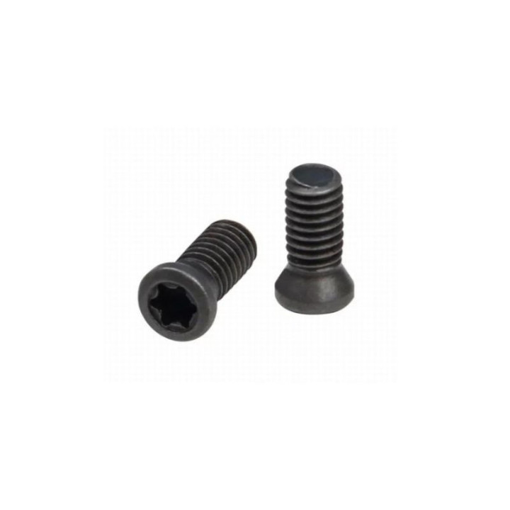 ARMANOV SCREWS for CZ and Tanfoglio SpidErgo Grips (SCREWCZTG)