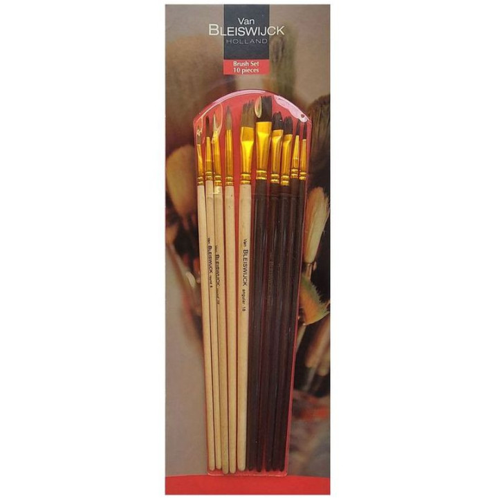 HM TOOLS - SET OF 10 pieces Van BLEISWIJCK