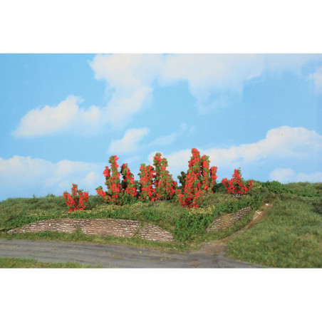 HEKI 11801 Keře růží 3-6 cm ( 6 ks )