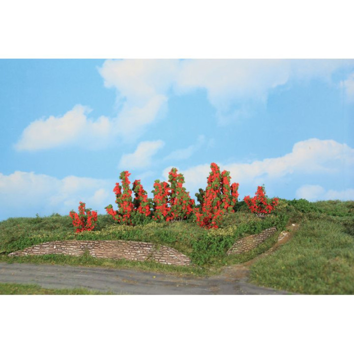 HEKI 11801 Krzewy róż 3-6 cm ( 6 sztuk )