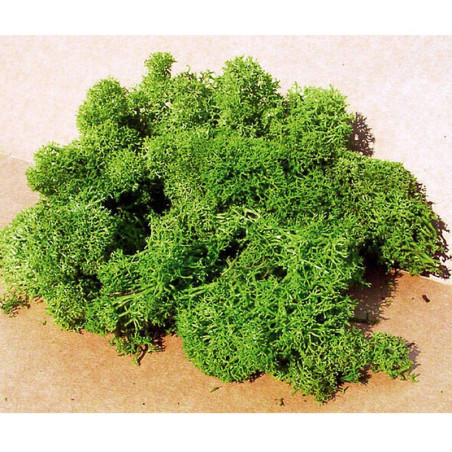 HEKI 3210 Moss light green 30 g