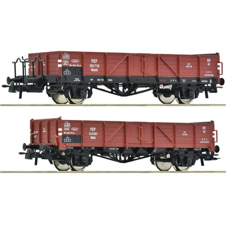 ROCO 6600150 PKP freight wagon ep. III ( 2 pieces )