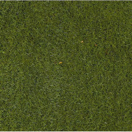 HEKI 3354 Electrostatic grass - 2-3 mm / summer meadow ( 20g )