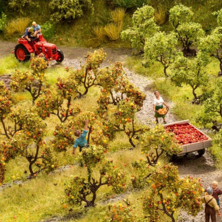 NOCH 21532 Plantation Trees with Apples / Fruit Trees / Apples - 3.5 cm / set of 12 pieces