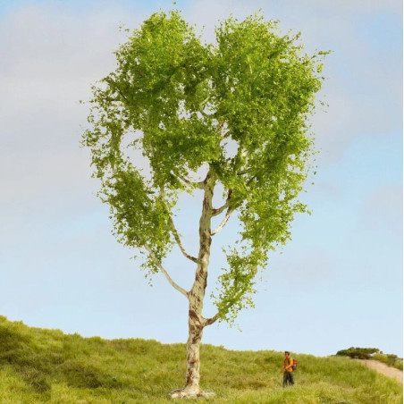 NOCH 20125 Downy Birch Tree / Birch Tree - 21 cm
