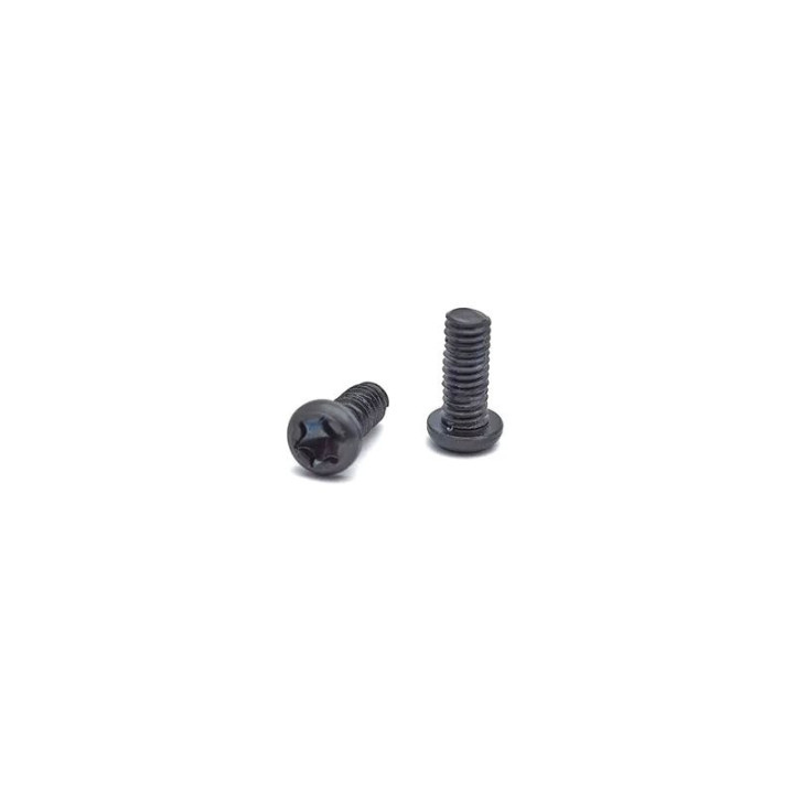 TANFOGLIO Lining screws for Tanfoglio XTREME [0024]