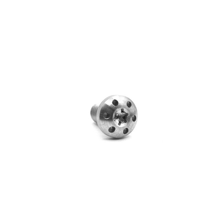 EEMANN TECH COLT Screws for Sights -     silver for 1911 - set (111003)