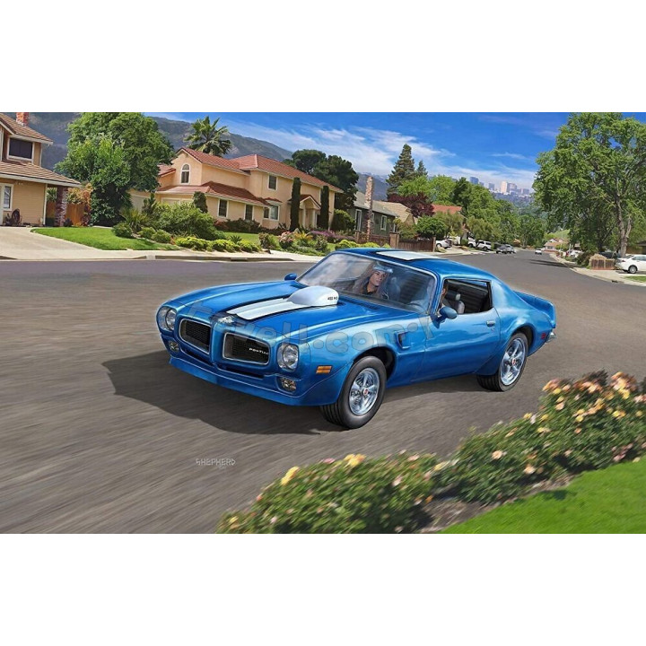 REVELL 1/24 PONTIAC 1970 FIREBIRD (07672)