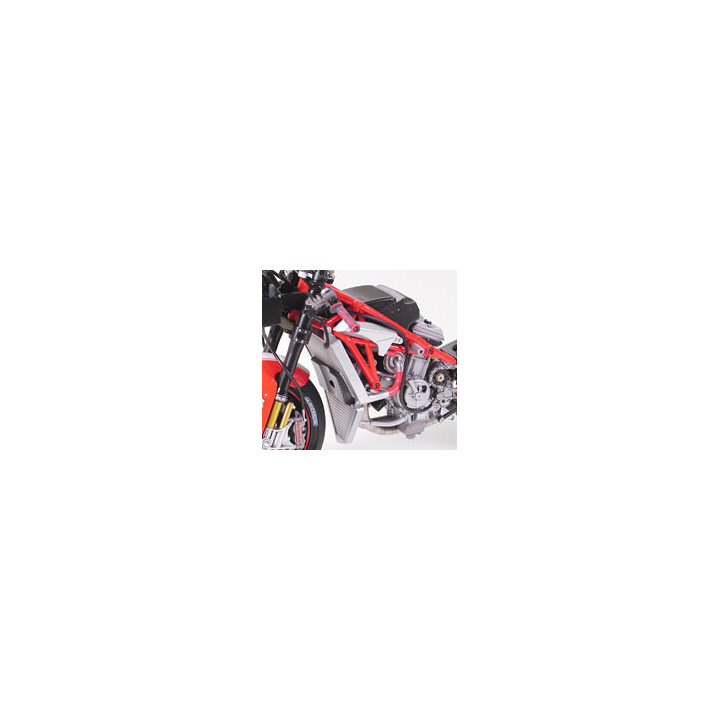 TAMIYA 1/12 DUCATI DESMOSEDICI (14101)