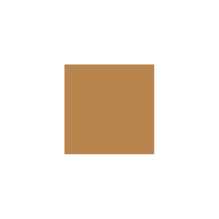 VALLEJO 021 MODEL COLOR MEDIUM FLESHTONE 17 ml (70860)