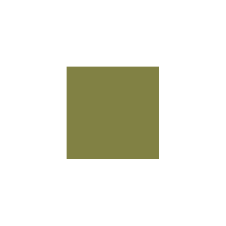 VALLEJO 079 MODEL COLOR GOLDEN OLIVE 17  ml (70857)
