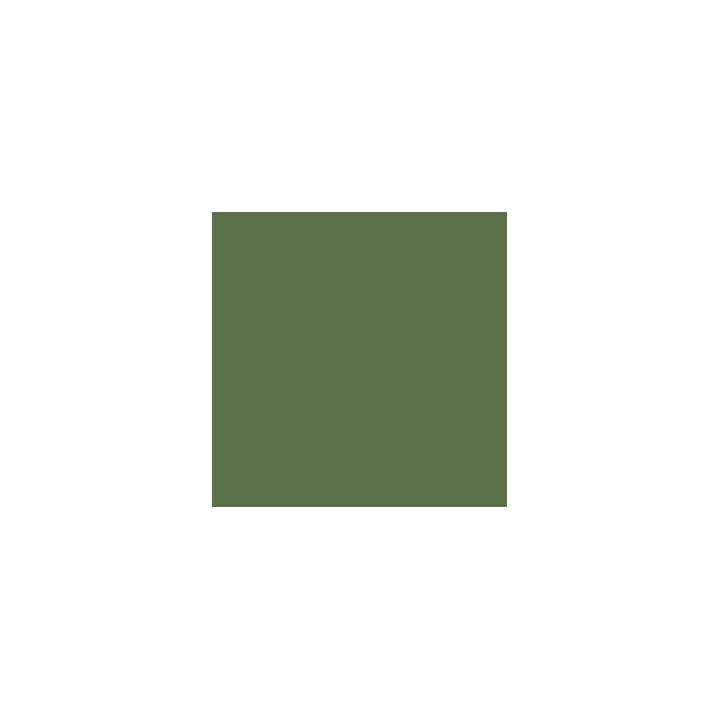 VALLEJO 080 MODEL COLOR GER.CAM.BRIGHT GREEN (70833)