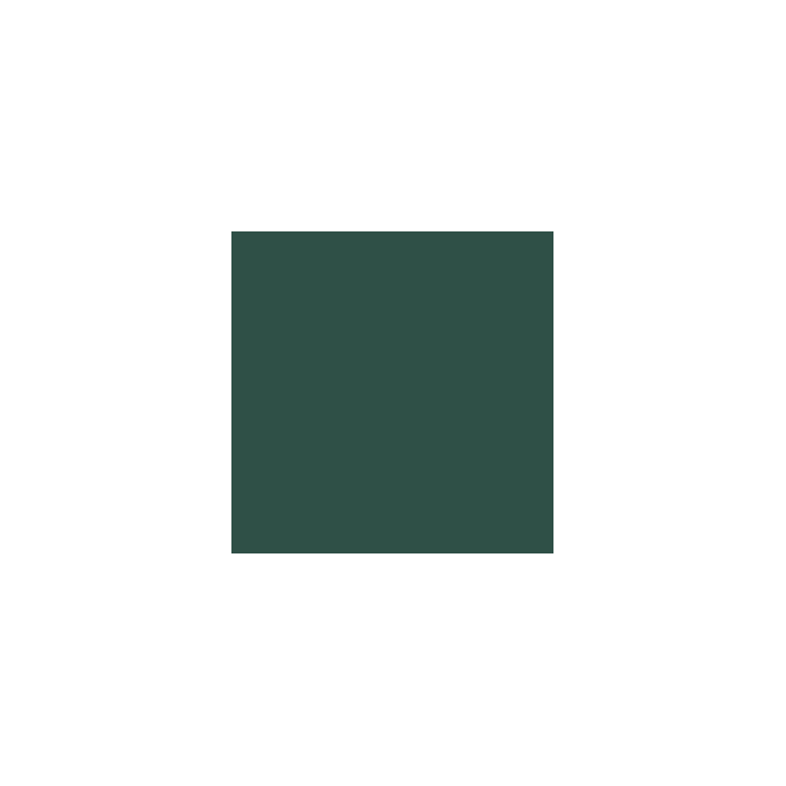 VALLEJO 099 MODEL COLOR GER.CAM.EXTRA    DARK GREEN 17 ml (70896)