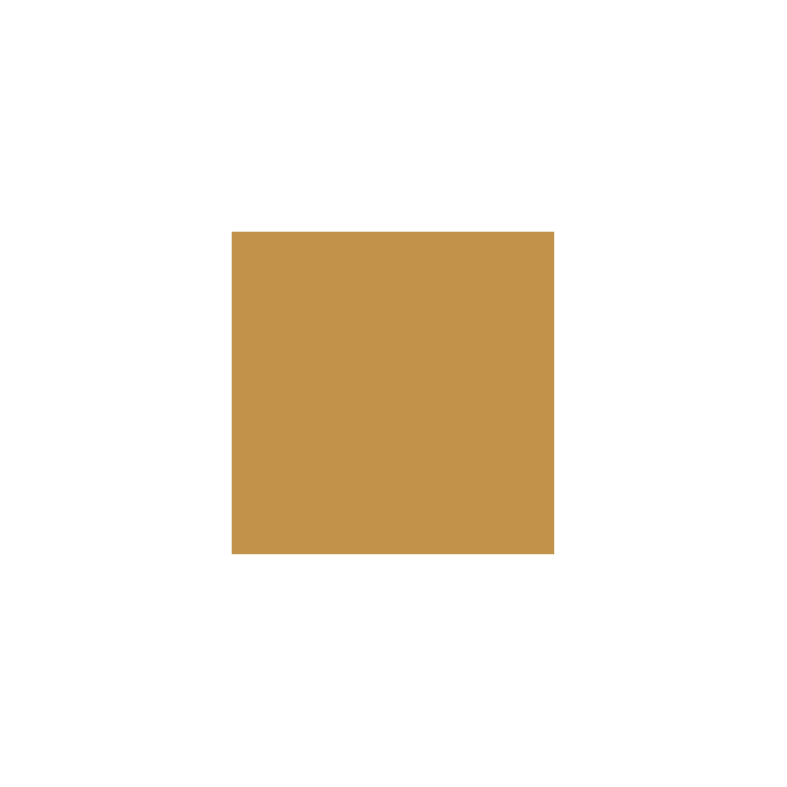 VALLEJO 121 MODEL COLOR YELLOW OCHRE 17  ml (70913)