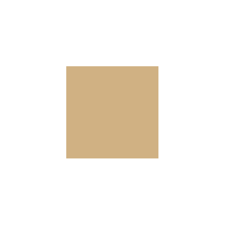 VALLEJO 123 MODEL COLOR DARK SAND (70847)