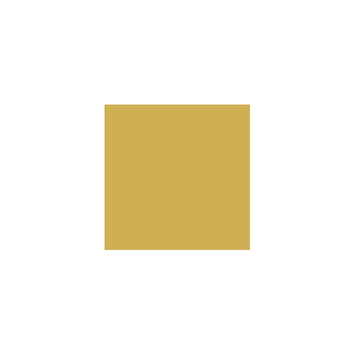 VALLEJO 172 MODEL COLOR GOLD 17 ml       (70996)