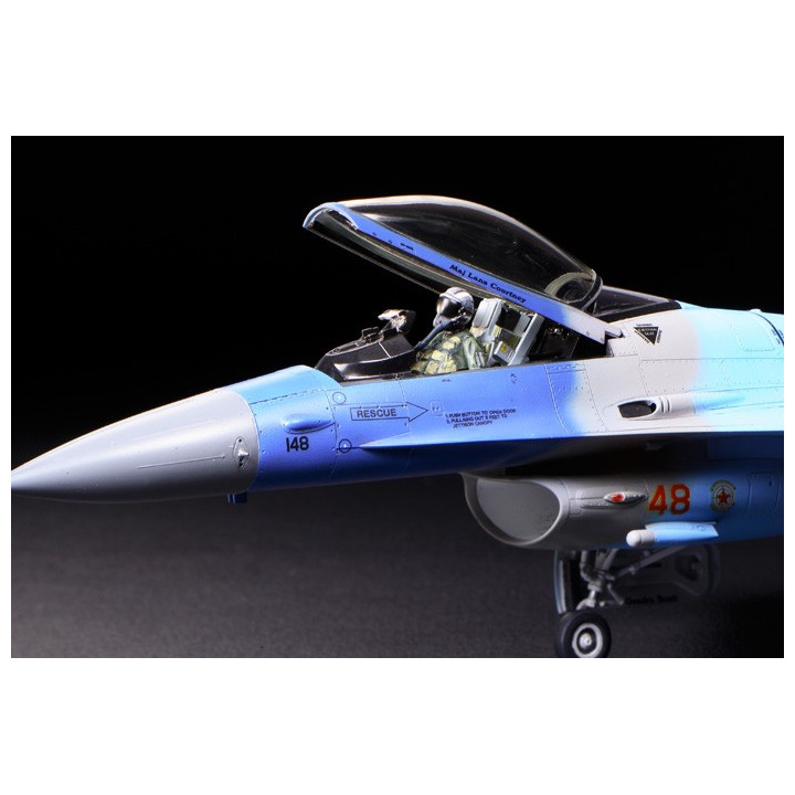 TAMIYA 1/48 F-16C/N AGGRESSOR/ADVERSARY  (61106)