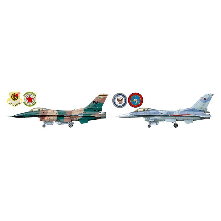 TAMIYA 1/48 F-16C/N AGGRESSOR/ADVERSARY  (61106)