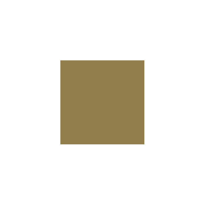 VALLEJO 118 MODEL COLOR MIDDLESTONE (70882)