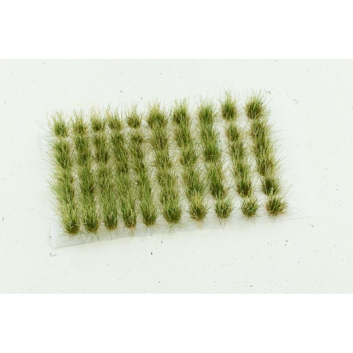 PAINT FORGE TRAW BLOCKS 12 mm SWAMP (1215) / 5 pcs