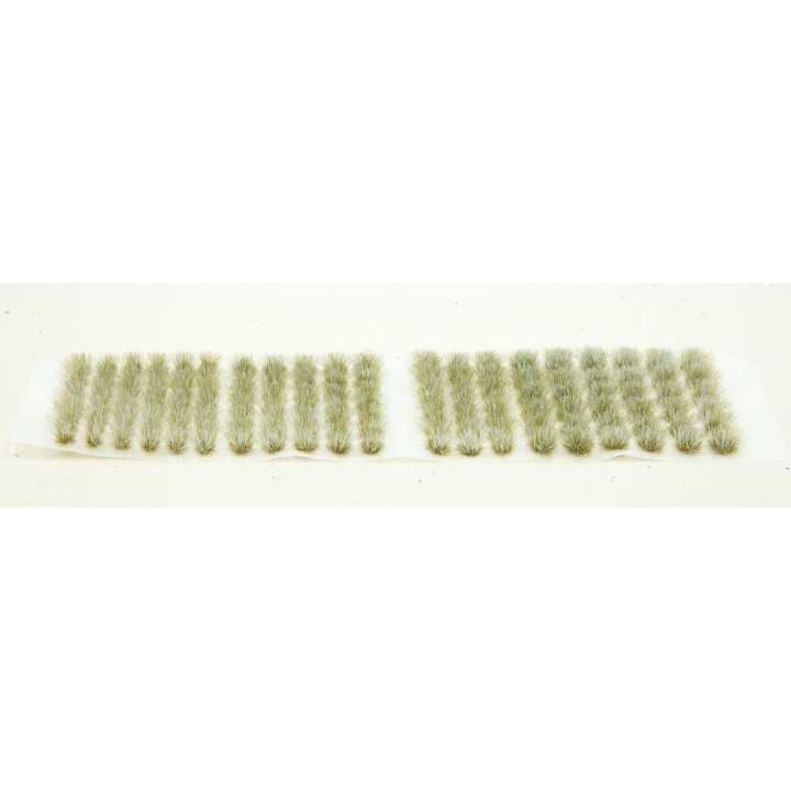 PAINT FORGE TRAW BLOCKS 6 mm WILD PLAINS (0622) / 5 pcs