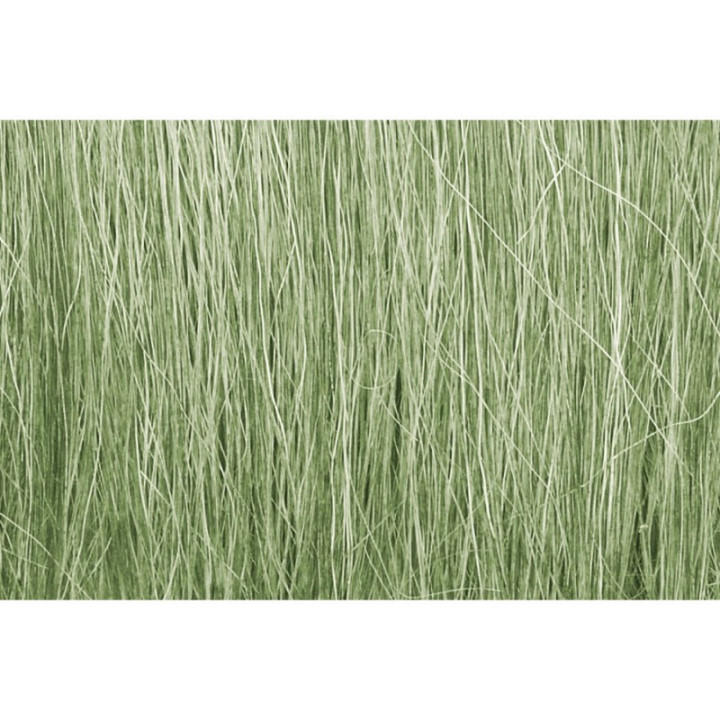 WOODLAND WFG173 RÁKOS SVĚTLE ZELENÝ